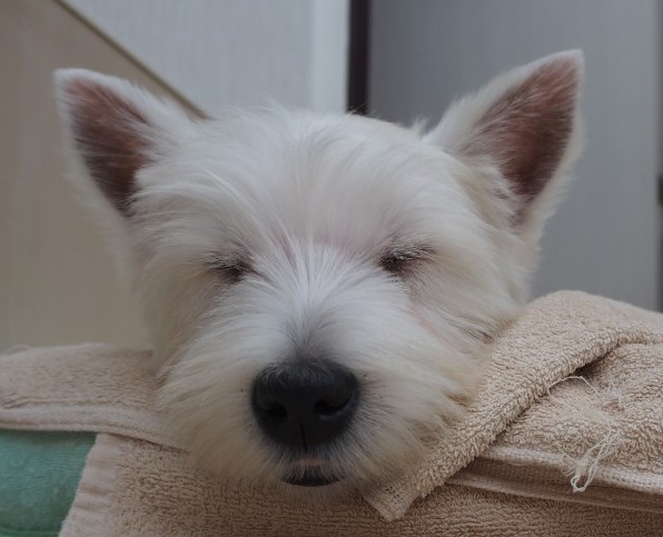 PC082245-e1420848835480