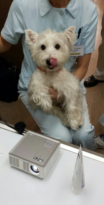 blog_import_53d8c40a46e40