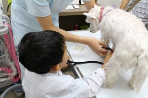 ０００３-300x200